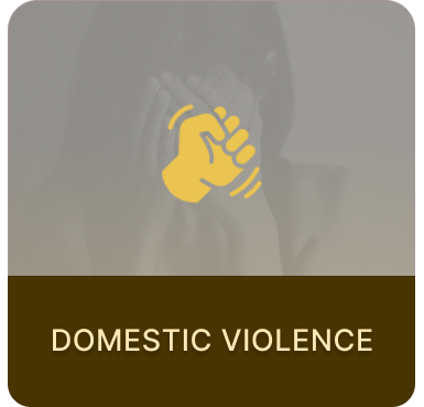 Domestic-Violence